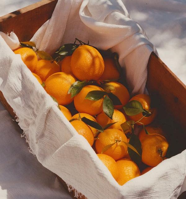 Ruby Valencia Orange and Apricot Marmalade